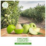 Buy Organic Harvest Moisturizing Lip Balm: Green Apple | For Women, Men & Kids| 100% American Certified Organic | Paraben & Sulphate-free|8 gm - Purplle
