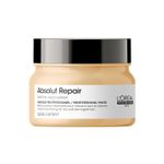 Buy L'Oreal Professionnel Absolut Repair Mask For Dry and Damaged Hair 250ml | With Wheat Protein - Purplle