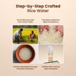 Buy Alps Goodness Fermented Rice Water (100 ml) | Rice Water for Hair and Face|Shiny Silky Hair |Korean Glass Skin |For Brighter Skin | Elastic & Glowy Skin - Purplle
