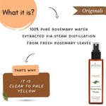 Buy Mystiq Living Rosemary Water for Hair Growth, Mist Spray Steam Distilled 100% Pure and Natural Hydrosol, Hair Mist - 100 ml - Purplle