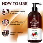 Buy Intimify Apple Cider Hair Shampoo 200 ml - Purplle
