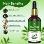 Buy Intimify Tea Tree Oil 30ml - Purplle