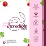 Buy Atulya Natural Beet Root Lip Balm 5 gm - Purplle