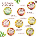 Buy Atulya Cocoa Butter Natural Lip Balm 5 gm - Purplle