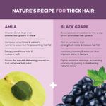 Buy Joy Hair Fruits Shining Black Conditioning Shampoo Enriched with Amla & Black Grapes 340 ml - Purplle