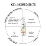 Buy Ktein Cosmetics All in 1 natural hair heat protection spray with fermented argan oil, vitamin E, Pro-vitamin B3 for Pre and Post styler (200 ml) - Purplle