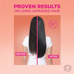 Buy L'Oreal Paris Shampoo, Nourish, Repair and Shine, For Long and Lifeless Hair, Dream Lengths, 200 ml - Purplle