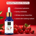 Buy Good Vibes Introducing Starters Serum | Set of 3 | Face Serums | Vitamin C, Rosehip & Ubtan - Purplle