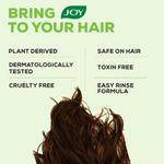 Buy Joy Hair Fruits Hair Dryness Control Conditioning Shampoo Enriched with Lemon & Olives 340 ml - Purplle