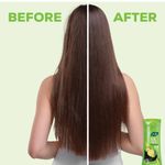 Buy Joy Hair Fruits Hair Dryness Control Conditioning Shampoo Enriched with Lemon & Olives 340 ml - Purplle