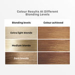 Buy Streax Hair Colour Highlight Kit | Blonde Hair Colour, Soft Blonde - Pack of 1 I Enriched with Walnut & Argan Oil I Hair Colour for Women | Rich, vibrant, Easy to use, DIY Application - Purplle