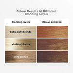 Buy Streax Hair Colour Highlight Kit | Brown Hair Colour, Cappuccino Brown, 180 gm - Purplle