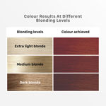 Buy Streax Hair Colour Highlight Kit | Brown Hair Colour, Latte Brown, 180 gm - Purplle