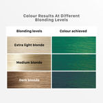 Buy Streax Hair Colour Highlight Kit | Green Hair Colour, Forest Green, 180 gm - Purplle