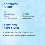 Buy Plum Coconut Milk & Peptides Strength & Shine Shampoo (Pack of 2) - Purplle