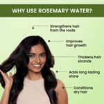 Buy Alps Goodness Hair Growth Expert Kit (Pack of 2) with Rosemary Water Spray (100 ml) & Rosemary Water Refill (305 ml) | Hair Regrowth | Viral Rinse | Mess Free Spray - Purplle