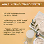 Buy Alps Goodness Fermented Rice Water (100ml) |Rice Water for Hair and Face | Korean Glass Skin |For Brighter Skin | Elastic & Glowy Skin | Shiny Silky Hair - Purplle