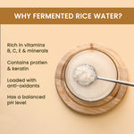 Buy Alps Goodness Fermented Rice Water (100ml) |Rice Water for Hair and Face | Korean Glass Skin |For Brighter Skin | Elastic & Glowy Skin | Shiny Silky Hair - Purplle