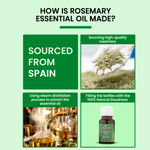 Buy Alps Goodness Pure Essential Oil - Rosemary (10 ml) | Essential oil for Hair & Skin | Paraben Free, Fragnance Free, Mineral Oil Free | Healthy Hair Growth | Fights Acne - Purplle