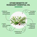 Buy Alps Goodness Pure Essential Oil - Rosemary (10 ml) | Essential oil for Hair & Skin | Paraben Free, Fragnance Free, Mineral Oil Free | Healthy Hair Growth | Fights Acne - Purplle