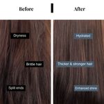 Buy Bare Anatomy Anti-Hair Fall Mask | Provides 5X Hair Fall Control | Hair Fall Conditioner (250 gm) - Purplle