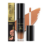 Buy Faces Canada Ultimepro HD Concealer Walnut Spice 05 - 3.8 ml - Purplle