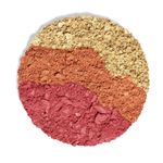Buy KAJA Beauty Bento Collection| Bouncy Shimmer Eyeshadow Trio | 06 Poppy Champagne - golden coral tones | Cruelty free, K-Beauty Mini Palettes - 4.1 gm - Purplle