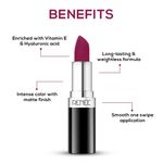 Buy RENEE Stunner Matte Lipstick - High Power (4 gm) - Purplle
