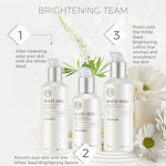 Buy THE FACE SHOP Whiteseed Brightening Lotion 145 ml - Purplle