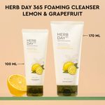 Buy The Face Shop Herbday 365 Masterblending Foaming Cleanser Lemon (100ml) - Purplle