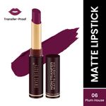 Buy Swiss Beauty Non Transfer Lipstick 06 Plum House (2 gm) - Purplle
