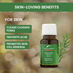 Buy Alps Goodness Strengthen & Revive Set (Pack of 2) with Castor Oil (100ml) & Rosemary Essential Oil (10ml) | Thich Long Hair Growth | Added shine & thickness - Purplle