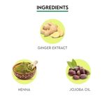 Buy Jovees Herbal Mehandi/Henna Powder | With Amla, Shikakai & Brahmi Powder | For Extra Conditioning | Control Hair Fall & Repairs Damaged Hair 75 gm - Purplle