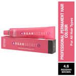 Buy Streax Professional Argan Secret Hair Colourant Cream - Soft Black 2 (60 gm) - Purplle