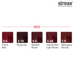 Buy Streax Professional Argan Secret Hair Colourant Cream - Soft Black 2 (60 gm) - Purplle