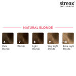 Buy Streax Professional Argan Secret Hair Colourant Cream - Extra Light Blonde 10 (60 gm) - Purplle