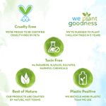 Buy Mamaearth Oil Free Moisturizer For Face With Apple Cider Vinegar For Acne Prone Skin (80 ml) - Purplle