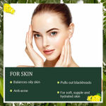 Buy Indus Valley Organic Face Cleanser Lemon Fruit Peel Powder (30 gm) - Purplle