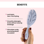 Buy Alps Goodness Wheatstraw Detangler Brush (Pack of 1) - Purplle
