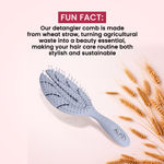 Buy Alps Goodness Wheatstraw Detangler Brush (Pack of 1) - Purplle