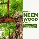 Buy Alps Goodness 100% Natural Neem Comb (Pack of 1) | Comes with a bag | Neem Wood Comb | Antibacterial & Antifungal | 100% Natural Neem Wood | Handmade Comb | Soft Bristles - Purplle