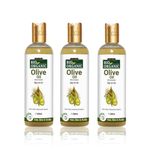 Buy Indus Valley Bio Organic Olive Massage Oil Multipurpose Benefits For Skin & Hair Pack of 3 (600 ml) - Purplle