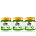 Buy Indus Valley 100% Bio Organic Aloe Vera Gel For Skin Acne, Scars, Dark spots Face & Hair Care (525 ml) - Purplle