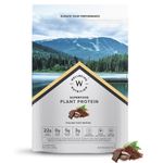 Buy Wellbeing Nutrition Organic Vegan Plant Protein Isolate| Superfoods, Antioxidants, Berry, DigeZyme™ | 5g BCAA, 3g Fiber for Muscle Repair & Recovery| Italian Cafe Mocha - 500gms - Purplle