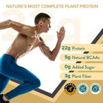 Buy Wellbeing Nutrition Organic Vegan Plant Protein Isolate| Superfoods, Antioxidants, Berry, DigeZyme™ | 5g BCAA, 3g Fiber for Muscle Repair & Recovery| Italian Cafe Mocha - 500gms - Purplle