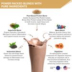Buy Wellbeing Nutrition Organic Vegan Plant Protein Isolate| Superfoods, Antioxidants, Berry, DigeZyme™ | 5g BCAA, 3g Fiber for Muscle Repair & Recovery| Italian Cafe Mocha - 500gms - Purplle