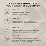 Buy Wellbeing Nutrition Pure Himalayan Shilajit Gold for Strength, Stamina, Performance, Stress Relief and Vitality | With Ashwagandha, Safed Museli & Swarna Bhasma (24K Gold Leaf) | Lab Tested - 20 gm - Purplle