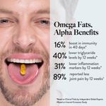 Buy Wellbeing Nutrition Slow | Triple Strength omega-3 (60 Capsules) - Purplle