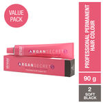 Buy Streax Professional Argan Secrets Permanent Hair Colourant Cream - Soft Black 2 ( Enriched with Argan Oil) For All Hair Types, 90 gm - Purplle
