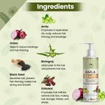 Buy TNW The Natural Wash Amla Shampoo | Anti-Hair Fall Shampoo for Controlling Breakage & Thinning | Anti-Hair Fall Shampoo with Natural Ingredients 200 ml - Purplle